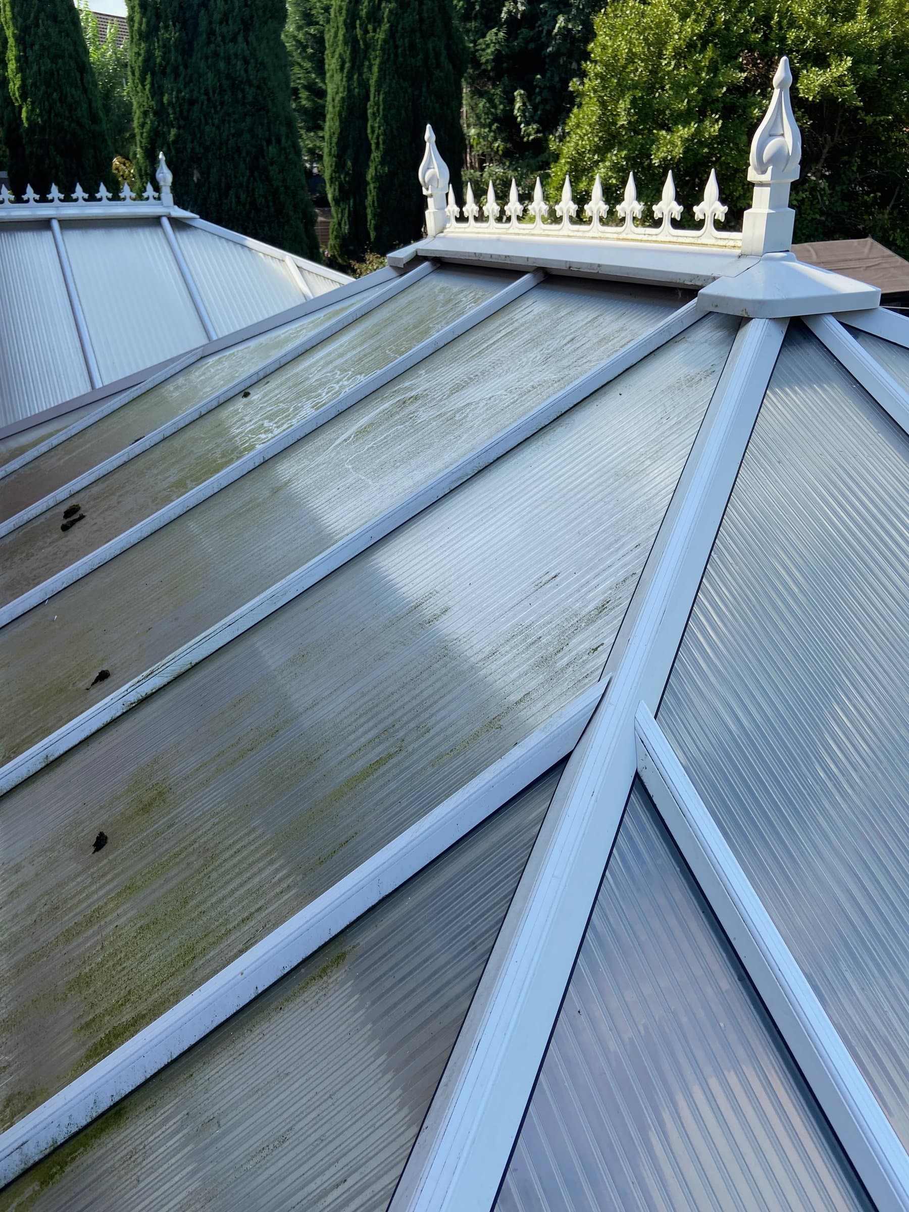 Conservatory roof panels green with algae before cleaning