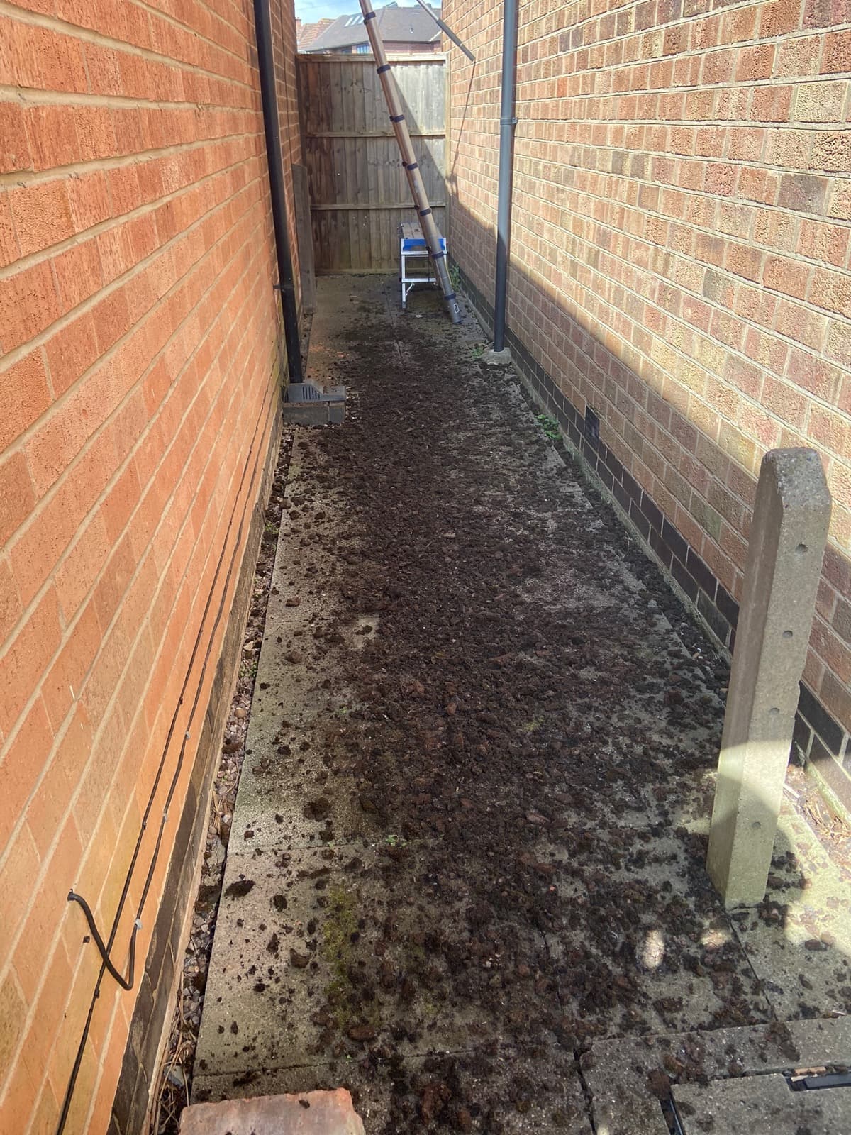 Side passage between brick walls covered in heavy moss and ground debris before cleaning