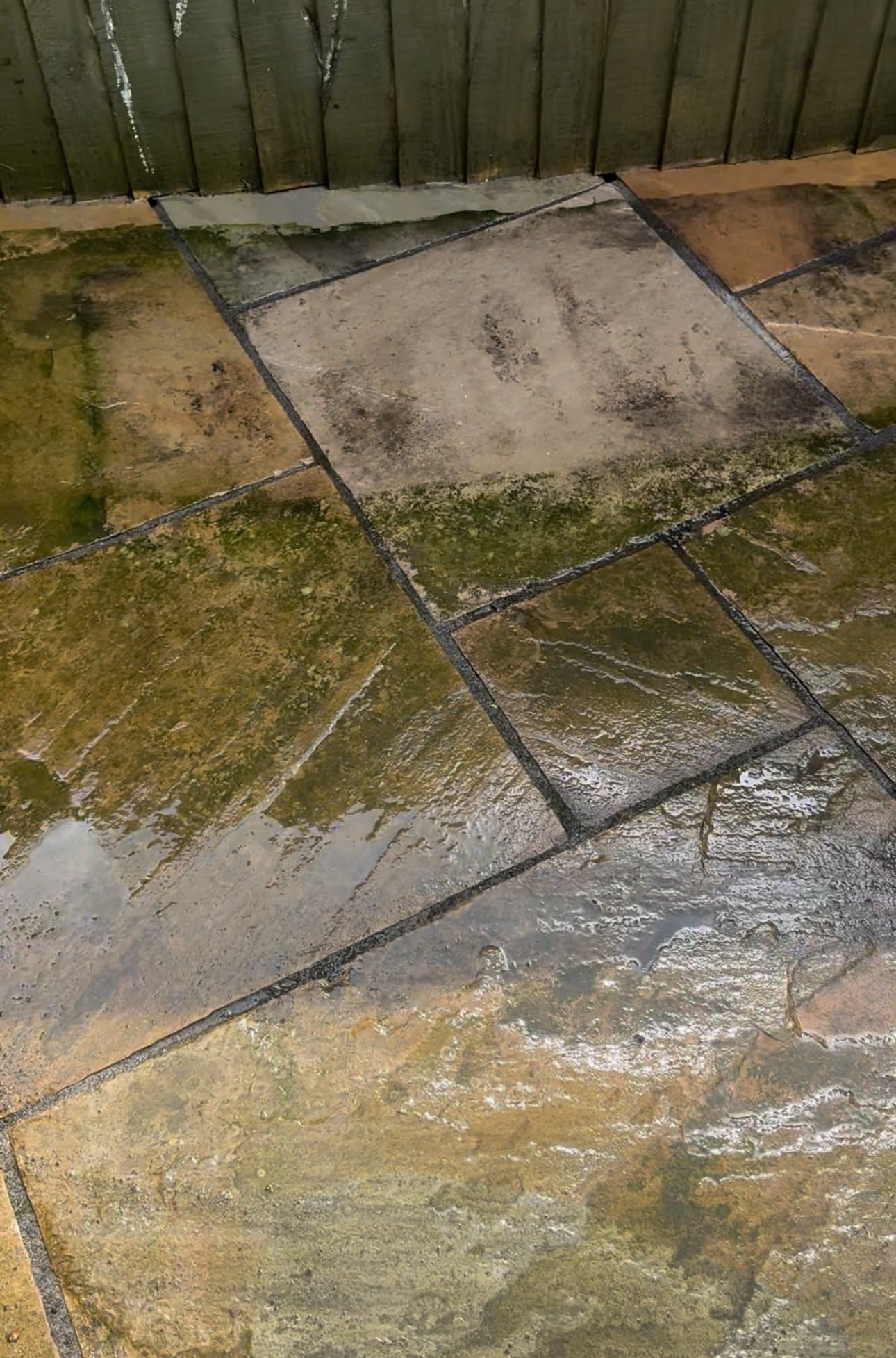 Indian sandstone patio greened over with algae and black spot, the natural colour hidden, before cleaning