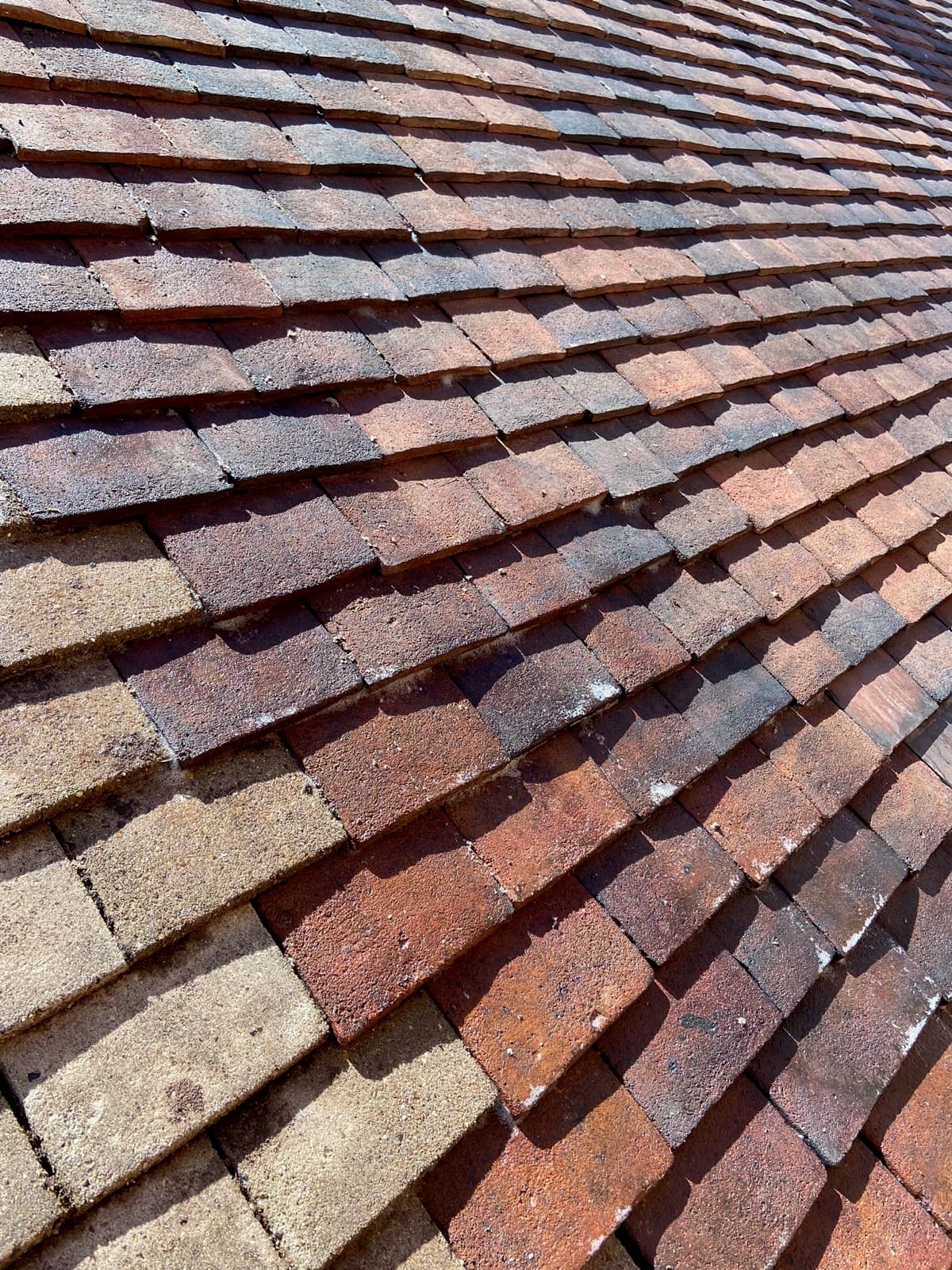 Half-cleaned roof tiles showing the difference between treated and untreated areas — moss removed from lower section, biocide treatment in progress